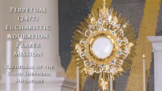 Invitation to Perpetual 247 Eucharistic Adoration prayer mission [upl. by Grubman]