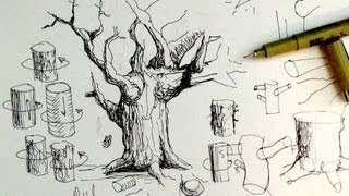 Pen amp Ink Drawing Tutorials  How to draw tree trunks amp branches [upl. by Ramad]