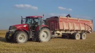 Moisson de blé 2016 MF 7272Puma 195Case IH 7110 [upl. by Yeslah]