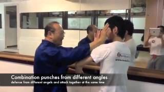 Wing Chun Chan Chiu first student Wong Kiu in Netherlands Ip Man style [upl. by Eeclehc]