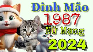 Đinh Mão 1987 nữ mạng Năm 2024 sự nghiệp có phần thay đổi mạnh [upl. by Aika]