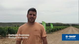 Carmelo Espinosa técnico de Bodegas Montecillo [upl. by Uah]