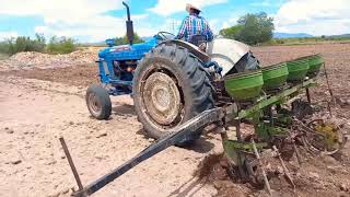 Sembrando Maíz Con Un Tractor Ford 5000 y Una Sembradora Jhon Deere De 4 Surcos En México [upl. by Arny]