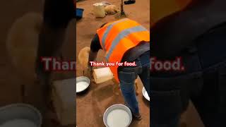 Food is a necessityprotectstraydogs feedingstraydogs needyoursupport rescuestraydogs helpstray [upl. by Aryahay810]