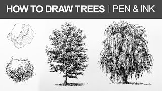 How to Draw Trees with Pen and Ink [upl. by Martainn]