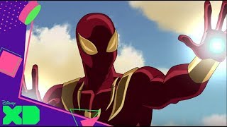 Marvel Ultimate SpiderMan  Encallados  Disney XD España [upl. by Adaj]