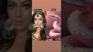 TV Nagin show cast song nagin tv serial bollywood shortvideo shorts youtubeshorts [upl. by Halludba]