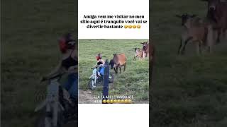 ENQUANTO GASOLINA TIVER🤣🤡 shortvideo comedia humor shorts [upl. by Moskow]