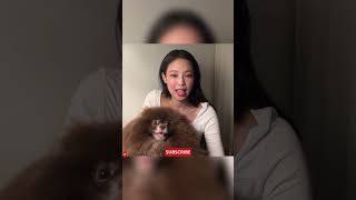 jennie live show jennie and kuma jennie mantra [upl. by Gonick]