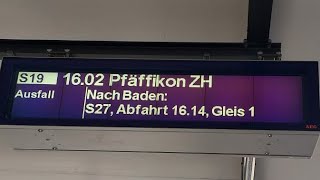 SBB Ansage Ausfall S19 nach Pfäffikon ZH [upl. by Horbal]