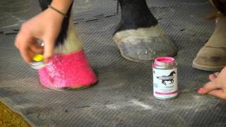 ColorShield Instant Hoof Protection amp Polish [upl. by Martz448]