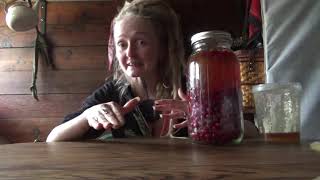 How to make Hawthorn berry infused honey [upl. by Yngiram583]