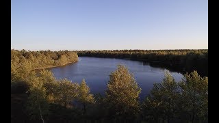 Der Silvestersee bei Schneverdingen [upl. by Elokin]