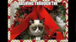 Grumpy Cat Christmas Memes With Xmas Music [upl. by Viridi]