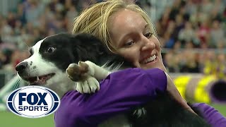 Pnk the border collie wins backtoback titles at the 2019 WKC Masters Agility  FOX SPORTS [upl. by Demahom]