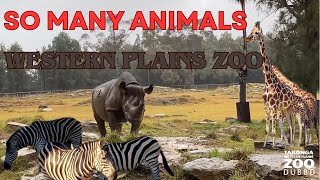 TARONGA WESTERN PLAINS ZOO  DUBBO NEW SOUTH WALES [upl. by Amliw143]