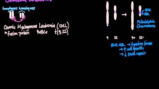 Chromosomal Translocations [upl. by Haorbed]