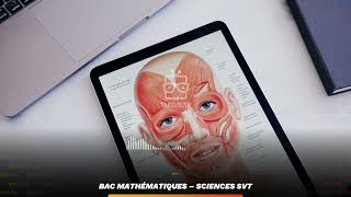 Sommaire ： Sciences SVT – Bac Mathématiques [upl. by Hilda]