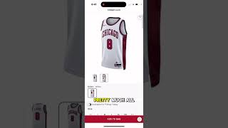 Swingman Deals at Hibbett Sports nba nike [upl. by Nnilsia]