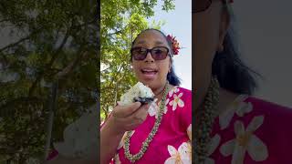 Everything I ate at Foodland Farms Honolulu shorts food foodie [upl. by Latoya]