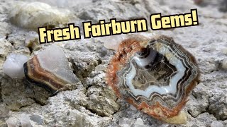 First Fairburn Agate Hunt Of 2024 [upl. by Jordison]