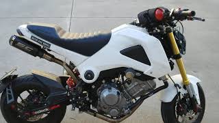 First Startup in 2020 Honda Grom 300 [upl. by Sheley]