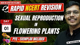 Sexual Reproduction In Flowering Plants  Rapid NCERT Revision 20  NEET 2024  Dr Anand Mani [upl. by Enillebyam]