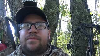 2024 archery PA opener  bobcat amp bear encounter [upl. by Costanzia721]