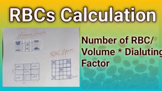 RBCs Calculation Formula hematology microscope dmlt Bsmlt [upl. by Sipple909]