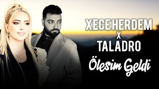 Xece Herdem X Taladro  ÖLESİM GELDİ mixed by Kezer Prod prod by Tolga Arslan Beatz [upl. by Analed]