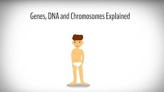 Genes DNA and Chromosomes explained [upl. by Naimaj356]