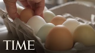 More Than 200 Million Eggs Recalled Over Salmonella Outbreak  TIME [upl. by Oramug447]