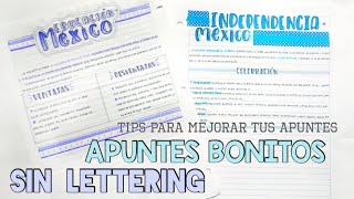 APUNTES BONITOS SIN LETTERING  tips para mejorar tus apuntes  PLACA DE LOS 100K ✨  karlasnotes [upl. by Amaryl]