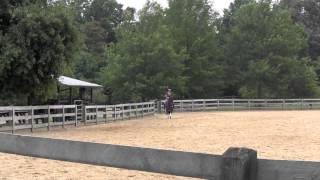 Rebecca Douglass and Spring Hollow Raindancer with Soloshot [upl. by Iams]