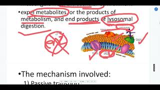 Physiology  Introduction DRKhaled [upl. by Eniloj]