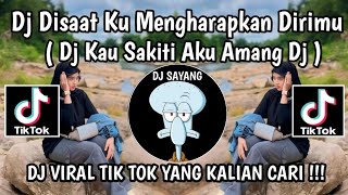 DJ AKU KAU SAKITI BY AMANG DJ  DJ DISAAT KU MENGHARAPKAN DIRIMU VIRAL TIKTOK YANG KALIAN CARI 2024 [upl. by Calmas]