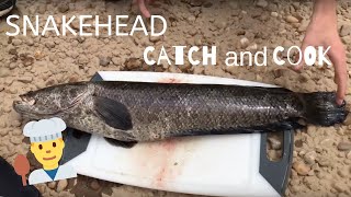 SNAKEHEAD Fish CATCH and COOK in MARYLAND FIRST TIME [upl. by Eatnom]