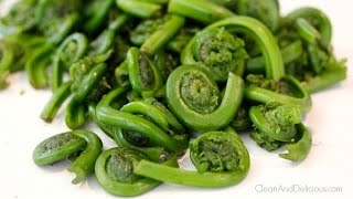 Fiddlehead Ferns 101  Everything You Need to Know [upl. by Ahsieat]