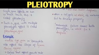 Pleiotropy In Genetics  Class 12 Biology [upl. by Tannenbaum766]