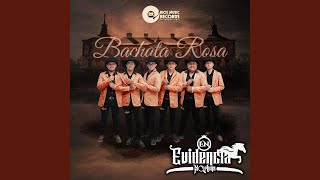 Bachata Rosa [upl. by Barth]