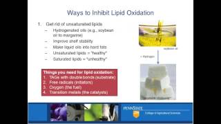 What Makes a FoodGrade Oil Unstable or Rancid [upl. by Nomma]