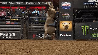 Beyond Belief WRECKs Unusual Bull Riding Handstand Elicits Universal WOWs [upl. by Darnall946]