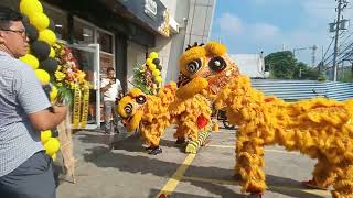 Lion Dance  Grand Opening of INGCO Tools Naic  Overland Bldg Naic Cavite [upl. by Kella]