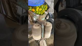 How to clean tomatoes with machinery shorts amazing farming2024 [upl. by Aguie]