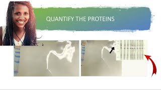 ⚖️ Quantifying Western Blot Bands with ImageJ StepbyStep Tutorial for Accurate Analysis [upl. by Fleda]