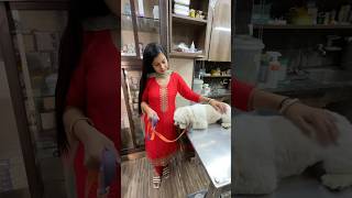 Hospital leke jana Pada Mortu ko Emergency Mai 🐶minivlog sanjhalikavlog dog doglover hospital [upl. by Suiratnauq]