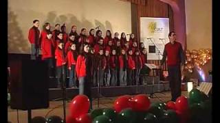 quotÉ Natalquot  Coro Juvenil de S Mamede Natal 2005 [upl. by Louanna634]