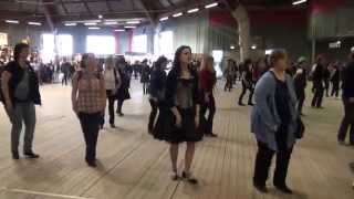 04 Salon country Cergy Pontoise 2015 [upl. by Enaej348]