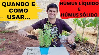 COMO PREPARAR E APLICAR A CALDA DE HÚMUS LÍQUIDO DE MINHOCA SERÁ MELHOR QUE O HÚMUS SÓLIDO Ep28 [upl. by Obau]