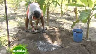 Success story of a traditional farmer  Narayanapillai [upl. by Leigha262]